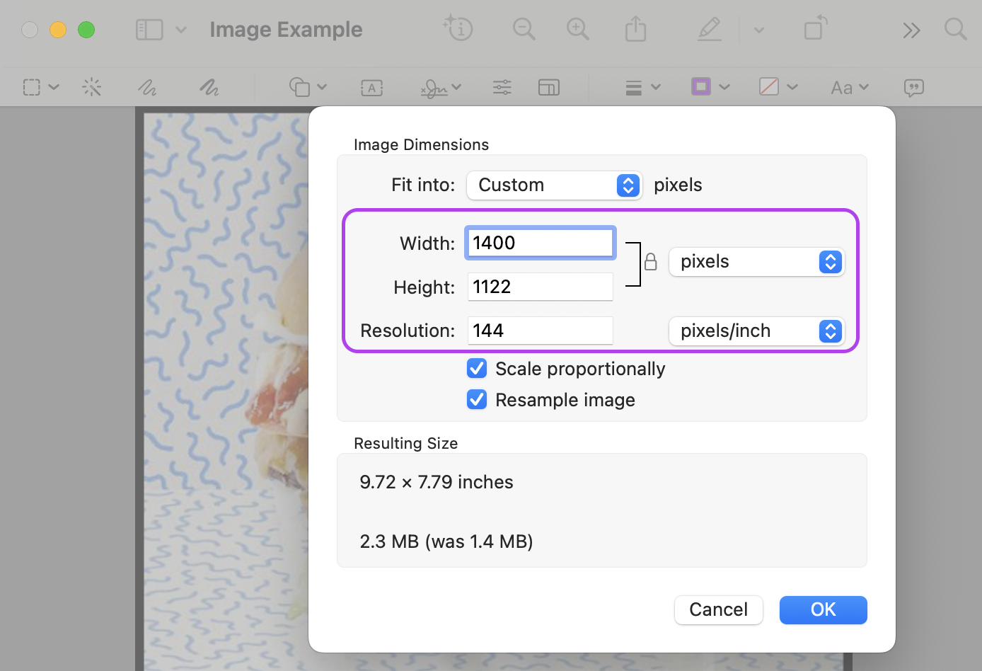 Manually Resize Input